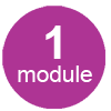 1 module